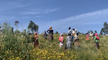 Improving_Livelihoods_Women_Smallholder_Dairy_Farmers_Ethiopia.JPG