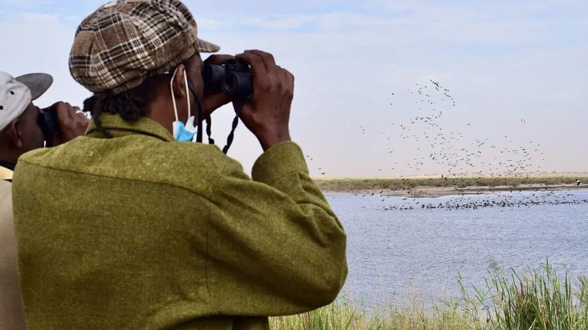 Typha_Project_Senegal.JPG