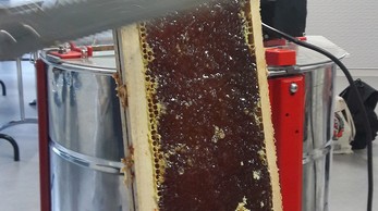 Copyright: Alstom / Anne-Cécile Barbier Eco_colleges_Beekeeping_Training_France_2.jpg