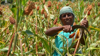 Copyright: Objectif France Inde (OFI) Water_for_life_ Integrated_water_management_program.jpg