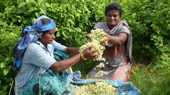 Copyright: Objectif France Inde (OFI) Water_for_life_ Integrated_water_management_program_1.jpg