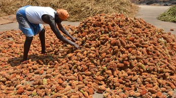 Copyright: Objectif France Inde (OFI) Water_for_life_ Integrated_water_management_program_2.jpg