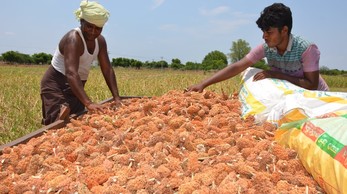 Copyright: Objectif France Inde (OFI) Water_for_life_ Integrated_water_management_program_3.jpg