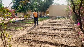 Copyright: Creando Futuros School_Orchard_Project_Senegal_Spring.jpg
