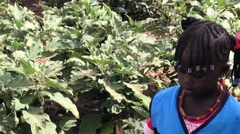Copyright: Creando Futuros Children_Garden_Watering_Senegal_1.jpg