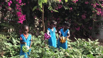 Children_Garden_Watering_Senegal_2.JPG