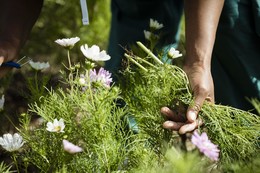 Fleurs d'Halage Project