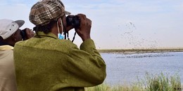 Typha_Project_Senegal.JPG