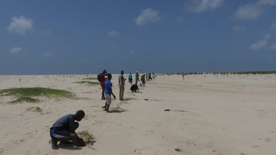 Senegal_Planting_Mangrove