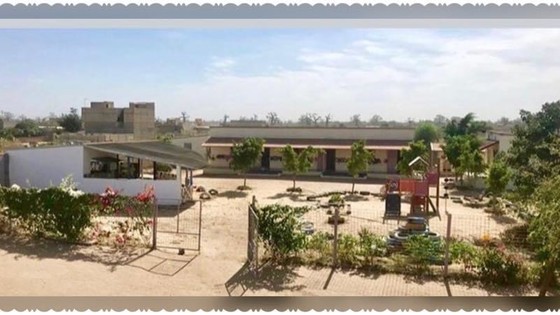 Copyright: Creando Futuros The_School_Orchard_Project_Senegal.jpg