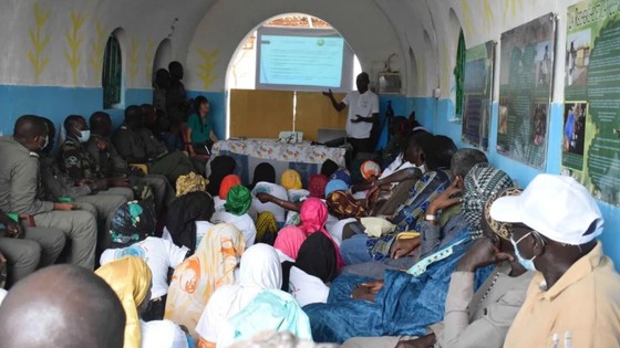 Community_Restoration_Senegal_Project.JPG