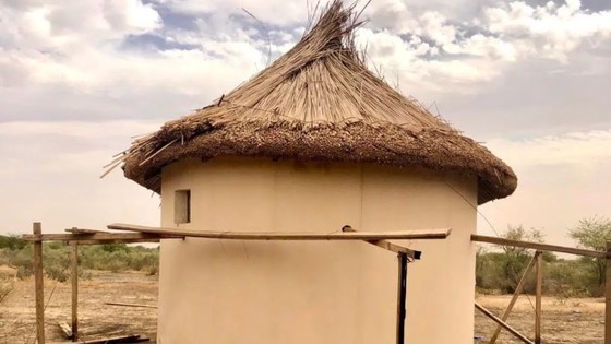 Typha_Hut_Construction_Senegal.JPG